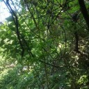 退院して一ヶ月くらい経つかなぁ（診察日）♪