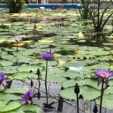 掛川花鳥園