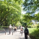 ５月の歩こう会　鷺森神社
