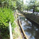 ５月の歩こう会　詩仙堂