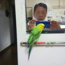 しこみ作業♪