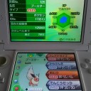 ポケモンオーサカで、ブースター。