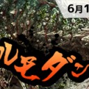 【大会情報】6/10(土)は《タルモゴイフ》がもらえる『タルモダン』、11(日)はスタンダード杯・フロンティア杯を開催します！！