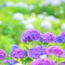 あしたは・・・