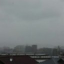 久々の雨♪
