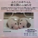 あそこは・・・