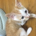 06月14日の日記