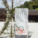 ６月の歩こう会　　洛北・上賀茂神社