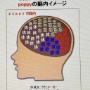 ショックな脳内画像