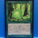 緑白の余波きたけど・・・・・・いつもの『アレ』だったは・・・・・・・。