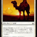 新Camel