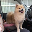 ビフォアアフター