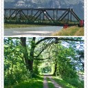 遊歩道を歩く