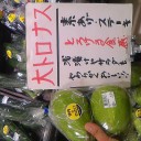 「大トロ・・」