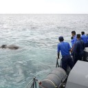 動物が人に助けられたニュース３つ