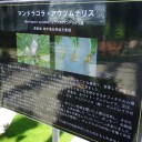 諸々の話（7/12）