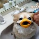 きれる・・・・