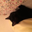 気持ちいいヤツ