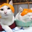 さぎ・・・