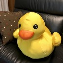 思い出の片づけ