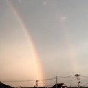 今日の夕飯は