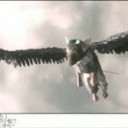 かいそう・・・