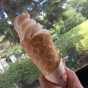 館が森アーク牧場でラベンダー