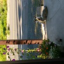 朝の