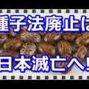 めちゃめちゃ・・・