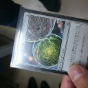 町田アメドリ月１レガシー
