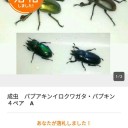 山梨