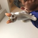 08月03日の日記