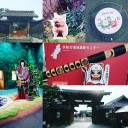 大河ドラマに踊らされて！