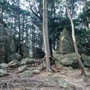 大河ドラマに踊らされて！