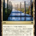 祖先の道・同族の発見・猫ドラゴンという良くわからない種族ｗ＞統率者２０１７
