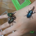 アクアリウム的な物やってる人いないっすかね？