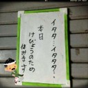 しばらくは、のんびりと……