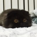 【88】まだ名前しか出てきていないＭＴＧの巨悪
