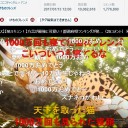 けものフレンズ、1000万再生突破