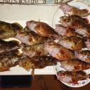 夏期講習の中休み:大型カサゴフィーバー