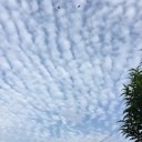 秋の雲