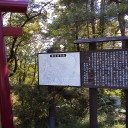 水郷会津のジンゴケイトク（奈良時代）