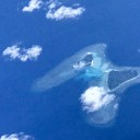 バタフライ島が見えた