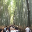 　念願の・・・