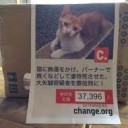 おおやまこと・・・