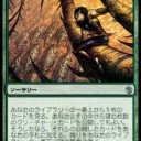 暴走の先導　コモン落ち