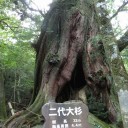 屋久島の旅２日目・・・（もののけ）