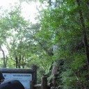 屋久島の旅２日目・・・（もののけ）