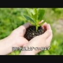 同じ空見上げているから