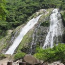 屋久島の旅最終日・・・（西部林道）